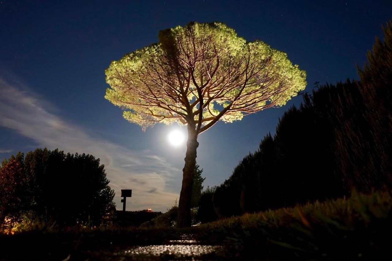 Agriturismo Buon Riposo - Country Resort In The Heart Of Tuscany San Giovanni a Corazzano Eksteriør bilde