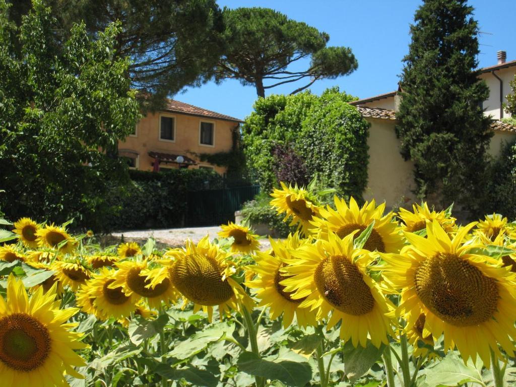 Agriturismo Buon Riposo - Country Resort In The Heart Of Tuscany San Giovanni a Corazzano Eksteriør bilde