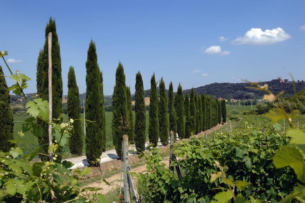 Agriturismo Buon Riposo - Country Resort In The Heart Of Tuscany San Giovanni a Corazzano Eksteriør bilde